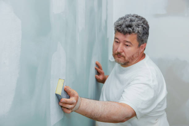 Best Asbestos and Lead Testing During Mold Inspection  in Orrville, OH