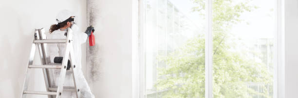 Best Commercial Mold Inspection  in Orrville, OH