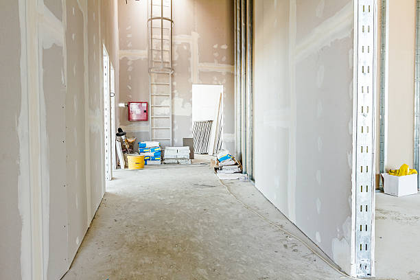 Best Industrial Mold Remediation  in Orrville, OH