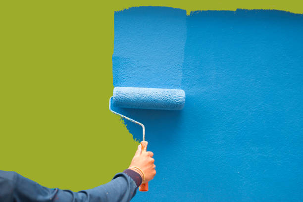 Best Emergency Mold Remediation  in Orrville, OH