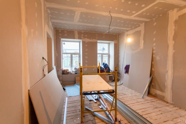 Best Basement Mold Removal  in Orrville, OH